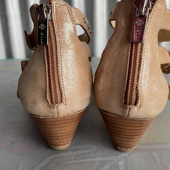 Isola gladiator - Picture 3 of 16